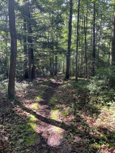 Hess Trail Parking Lot - Farmington, PA