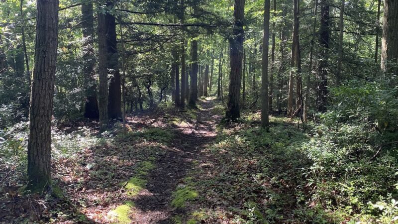 Hess Trail Parking Lot - Farmington, PA