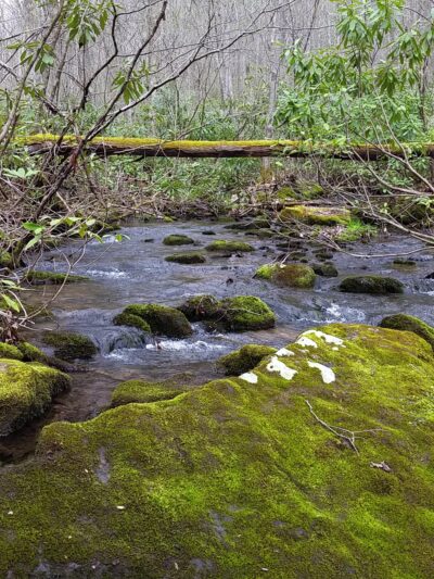 Hess Trail Parking Lot - Farmington, PA