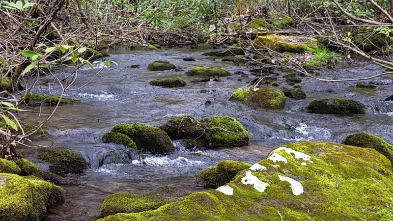 Hess Trail Parking Lot - Farmington, PA