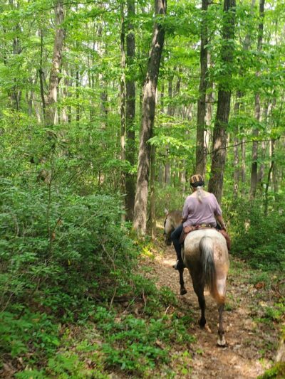 Hess Trail Parking Lot - Farmington, PA