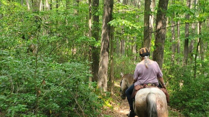 Hess Trail Parking Lot - Farmington, PA