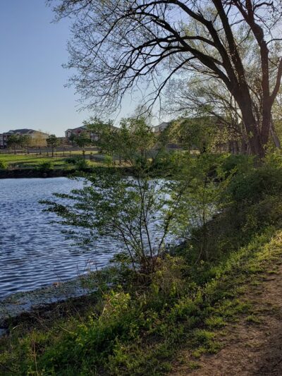 Iams Dog Park - Fayetteville, AR
