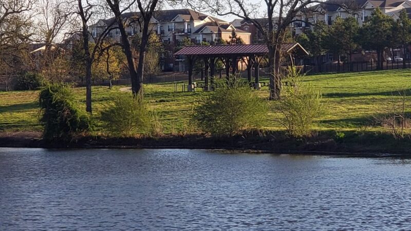 Iams Dog Park - Fayetteville, AR