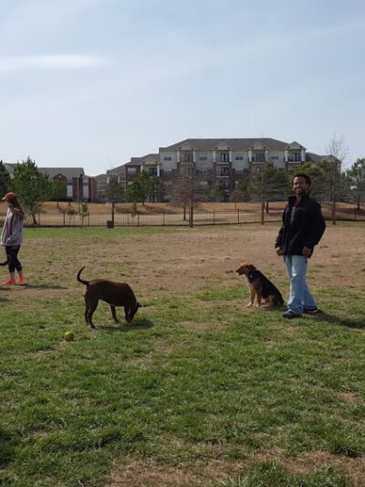 Iams Dog Park - Fayetteville, AR