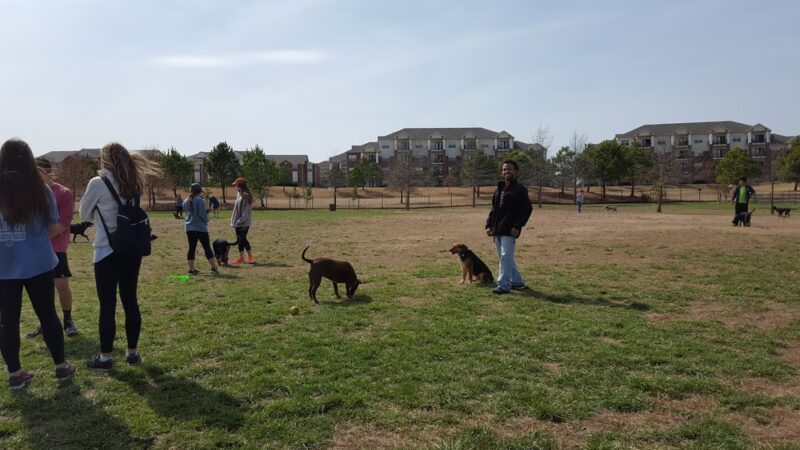 Iams Dog Park - Fayetteville, AR