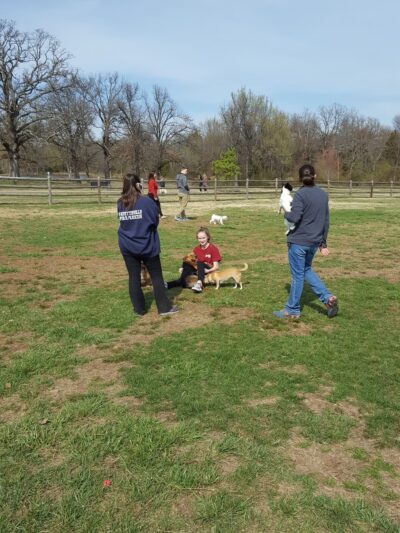 Iams Dog Park - Fayetteville, AR