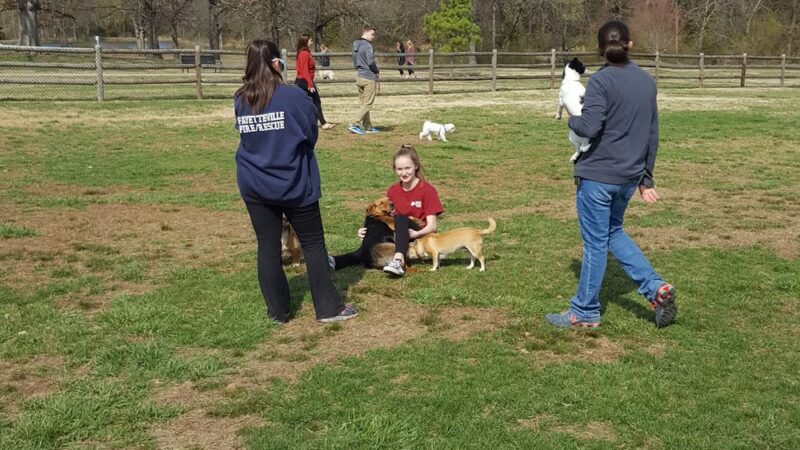 Iams Dog Park - Fayetteville, AR