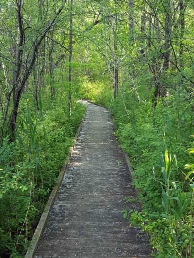 Butternut Creek Trail - Fayetteville, NY