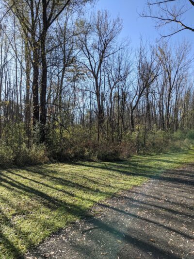 Butternut Creek Trail - Fayetteville, NY