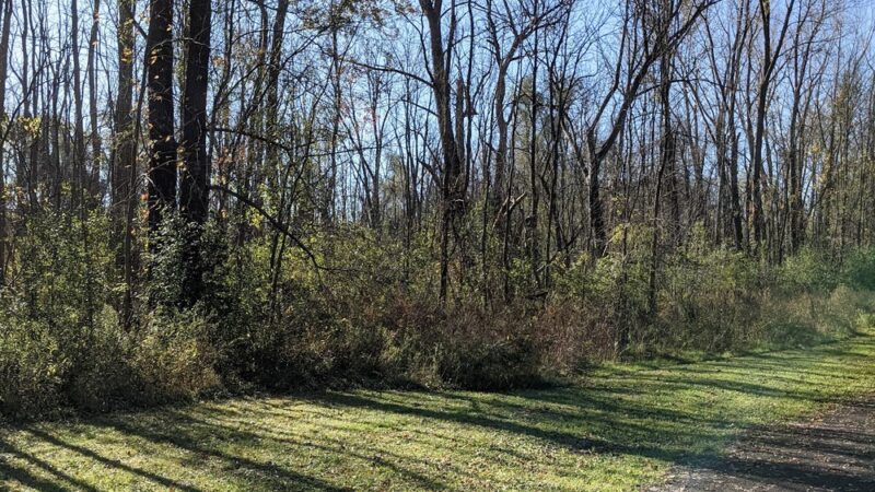 Butternut Creek Trail - Fayetteville, NY