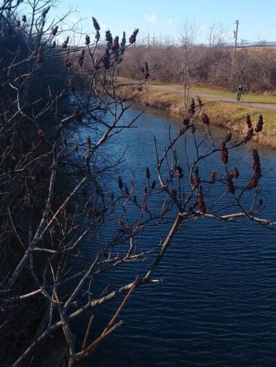 Cedar Bay Park - Fayetteville, NY