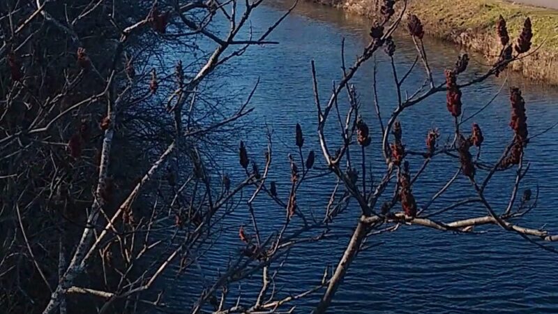 Cedar Bay Park - Fayetteville, NY