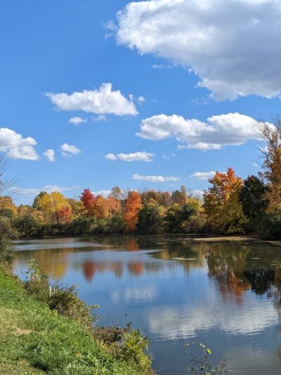 Cedar Bay Park - Fayetteville, NY