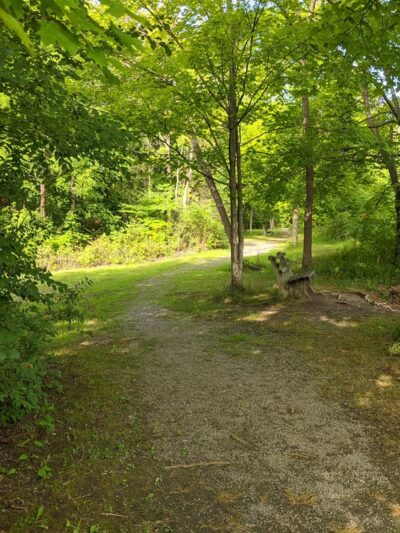 Cedar Bay Park - Fayetteville, NY