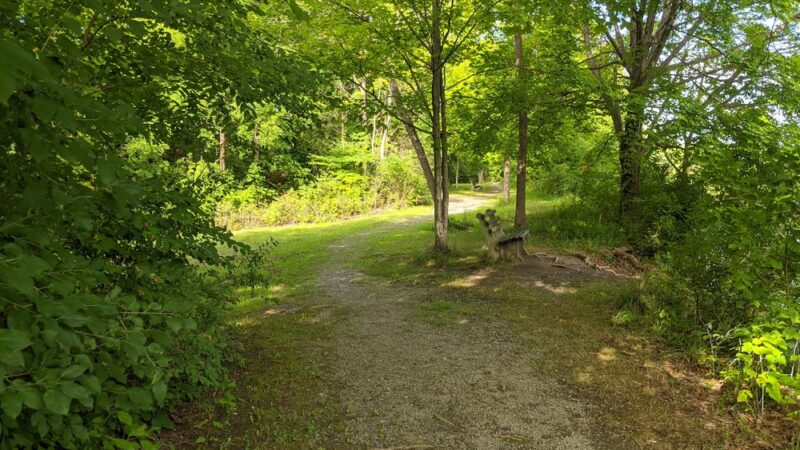 Cedar Bay Park - Fayetteville, NY