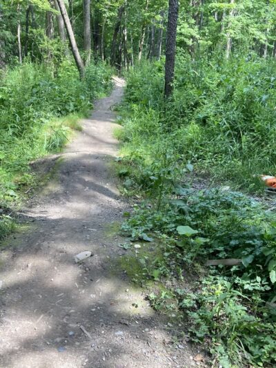 Duguid Patk - Fayetteville, NY