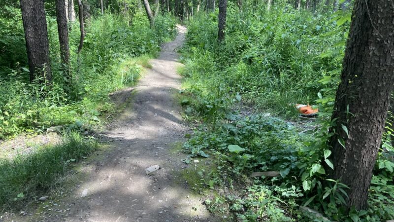 Duguid Patk - Fayetteville, NY