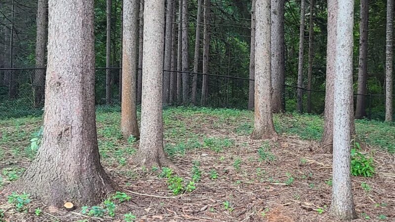 Duguid Patk - Fayetteville, NY