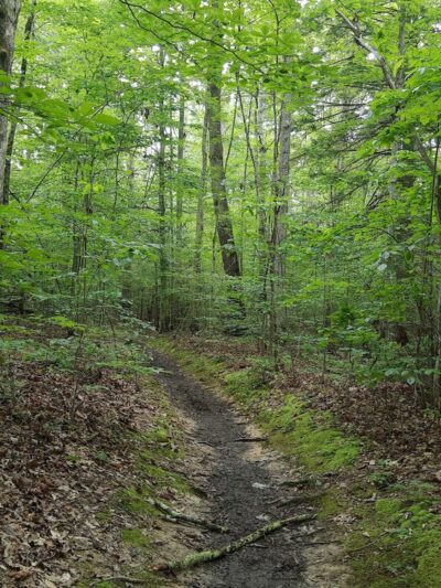 Park Loop Trailhead - Fayetteville, WV