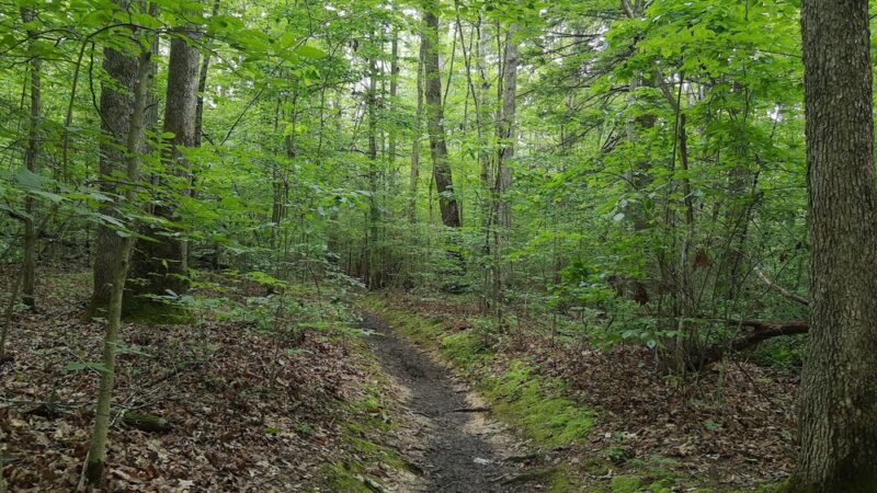 Park Loop Trailhead - Fayetteville, WV