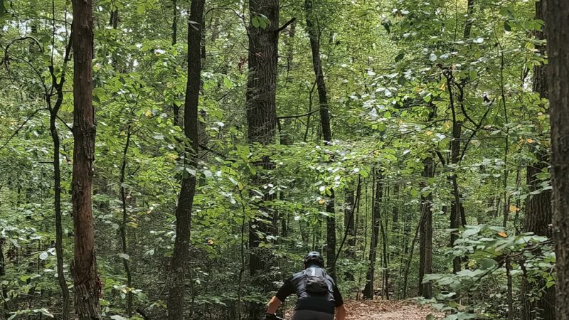 Wolf Creek Park Trailhead - Fayetteville, WV