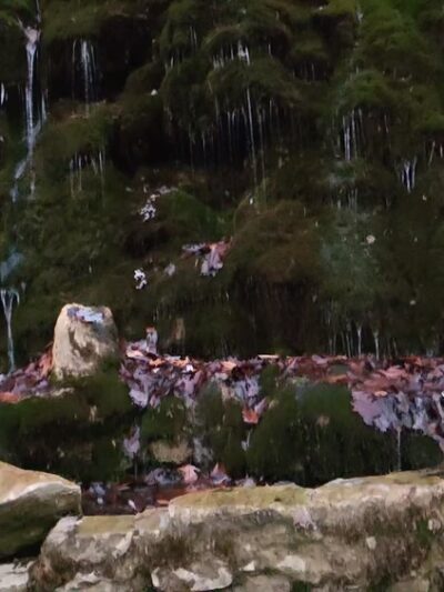 Wolf Creek Trail Head - Fayetteville, WV