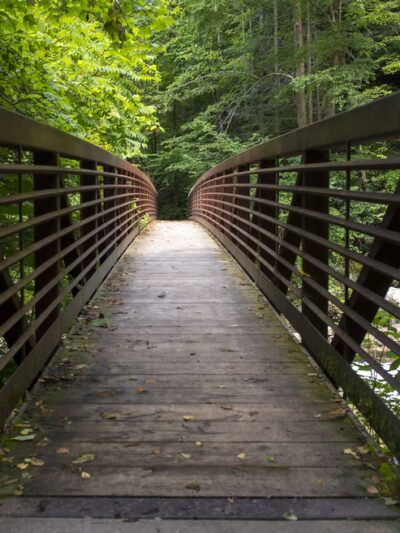 Wolf Creek Trail Head - Fayetteville, WV