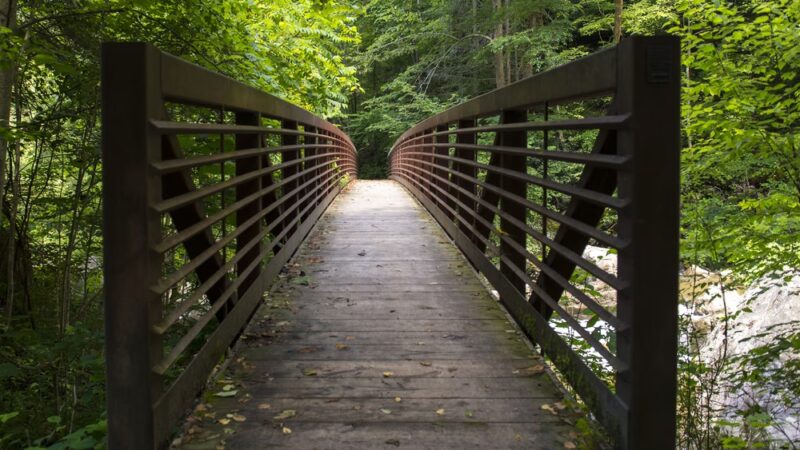 Wolf Creek Trail Head - Fayetteville, WV