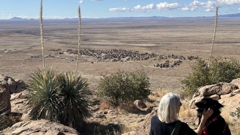 City of Rocks Trails - Faywood, NM