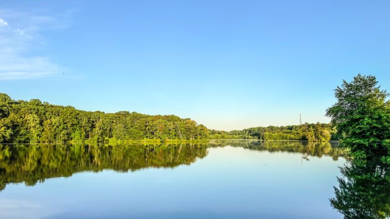 Killens Pond State Park - Felton, DE