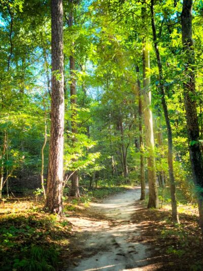 Killens Pond State Park - Felton, DE
