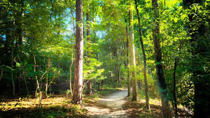 Killens Pond State Park - Felton, DE