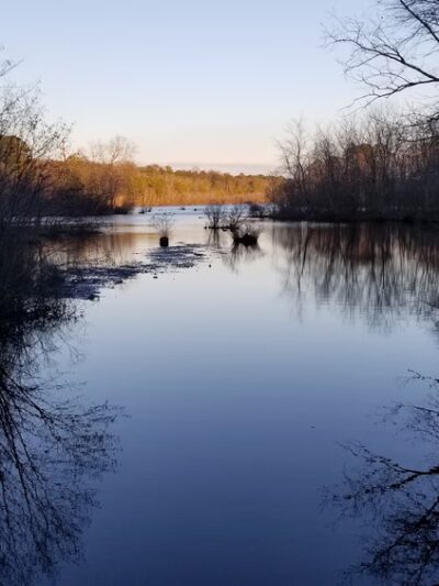 Killens Pond State Park Nature Center - Felton, DE