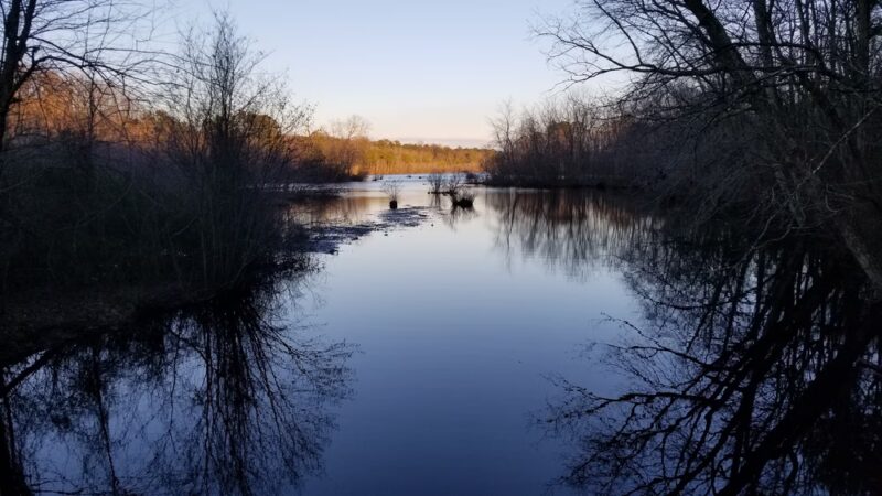 Killens Pond State Park Nature Center - Felton, DE