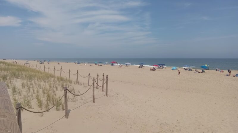 Fenwick Island State Park Concessions - Fenwick Island, DE