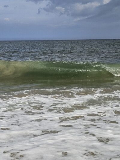 Fenwick Island State Park Concessions - Fenwick Island, DE