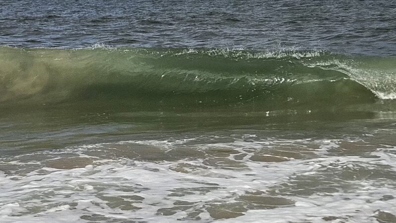 Fenwick Island State Park Concessions - Fenwick Island, DE