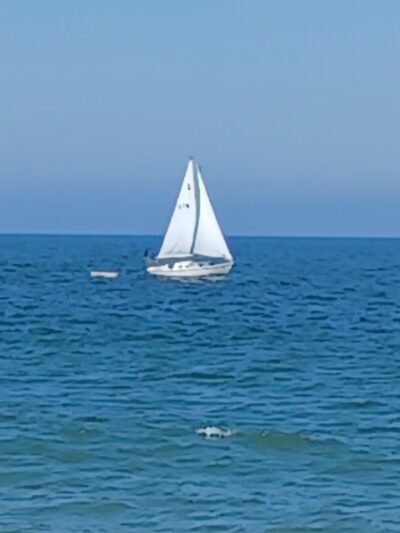 Fenwick Island State Park Concessions - Fenwick Island, DE