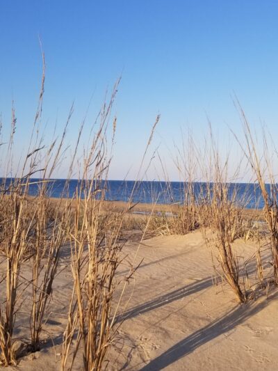 Fenwick Island State Park Concessions - Fenwick Island, DE