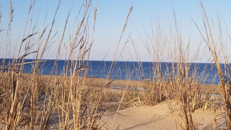 Fenwick Island State Park Concessions - Fenwick Island, DE