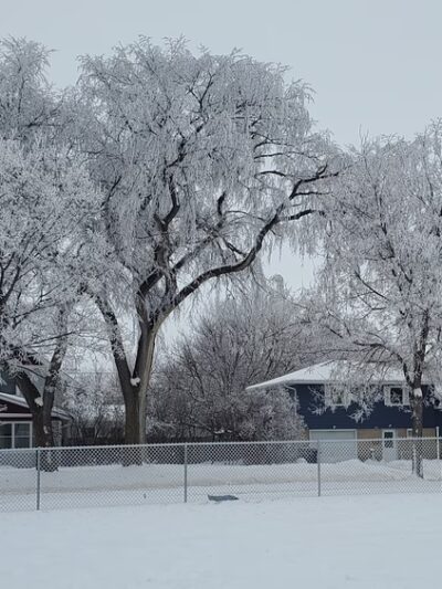 Higgins Dog Park - Fergus Falls, MN