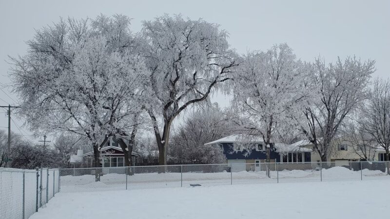 Higgins Dog Park - Fergus Falls, MN