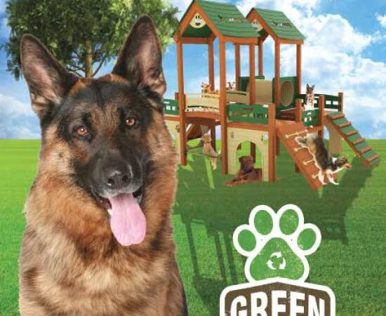 Green Paws dog park Equipment - Ferguson, KY
