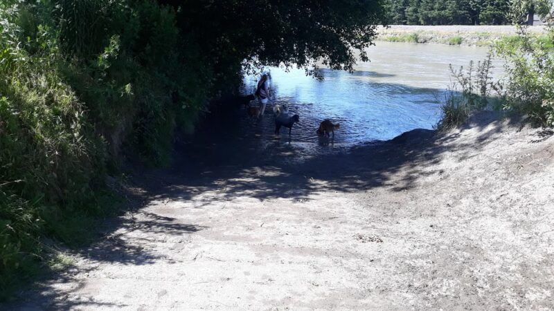 Off-leash Dog Park - Ferndale, WA