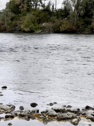 City of Firth Nature Park - Firth, ID