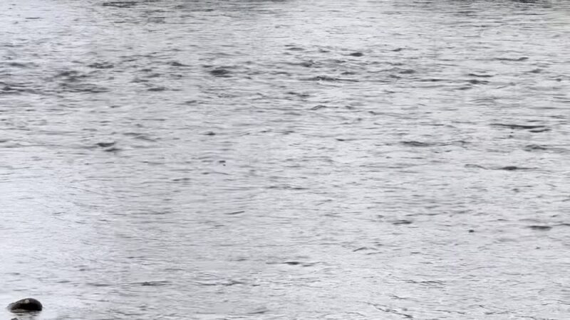 City of Firth Nature Park - Firth, ID