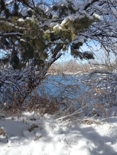 City of Firth Nature Park - Firth, ID