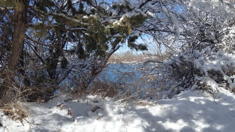 City of Firth Nature Park - Firth, ID