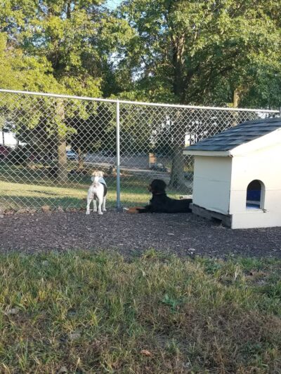 Off the Leash Dog Park - Fishers, IN